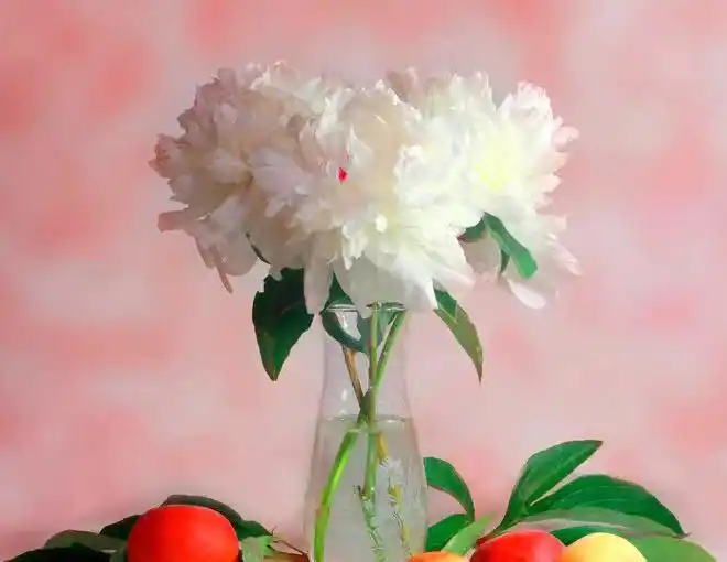 婚恋开放时代男人对首次亲密关系的珍视_宋思明珍惜海藻的原因分析_宋思明和海藻的第一次