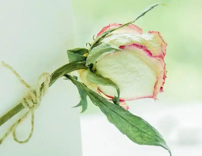 婚恋开放时代男人对首次亲密关系的珍视_宋思明和海藻的第一次_宋思明珍惜海藻的原因分析