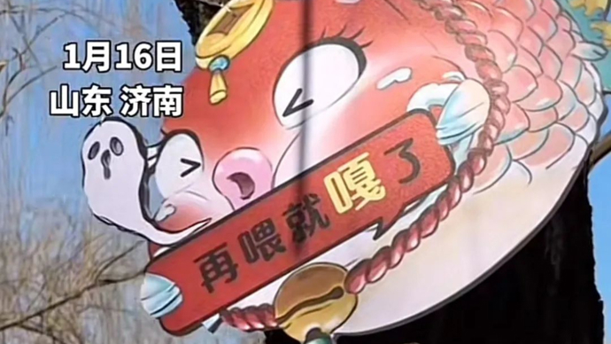 趵突泉锦鲤减肥提示牌_趵突泉锦鲤胖成“猪鲤”_济南趵突泉锦鲤减肥中心