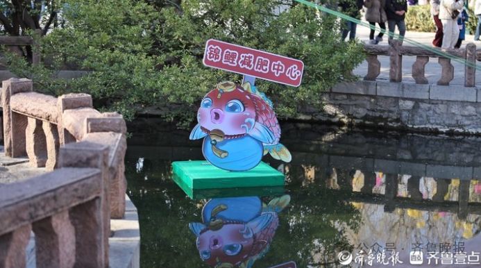 趵突泉锦鲤胖成“猪鲤”_趵突泉锦鲤减肥提示牌_济南趵突泉锦鲤减肥中心