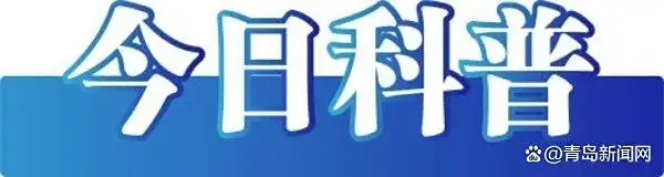 谣言医保目录药品占比_官方辟谣医保可报销药品仅占2%_南北天气差异原因