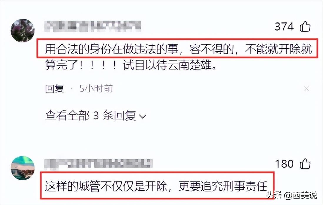 云南卖菜老头被城管按地上_女城管踩手事件_城管踩头