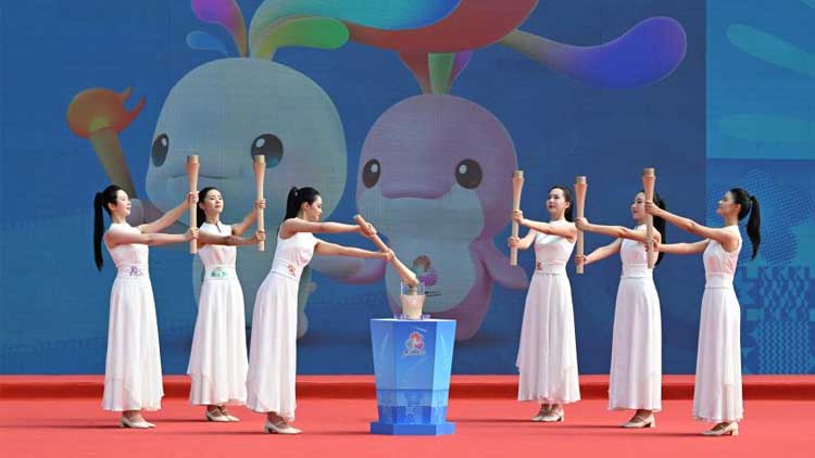 街头正大量出现！这种果子别乱捡，别生吃