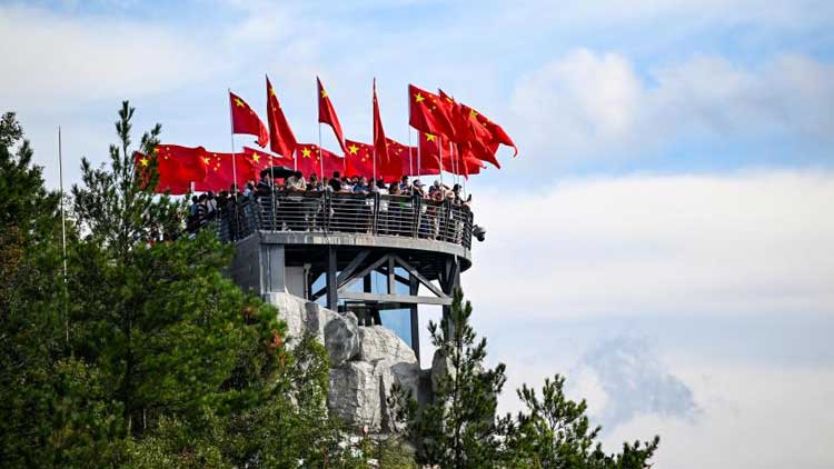 白果中毒症状及处理_路边这种小果子别捡别吃_路边白果能吃吗