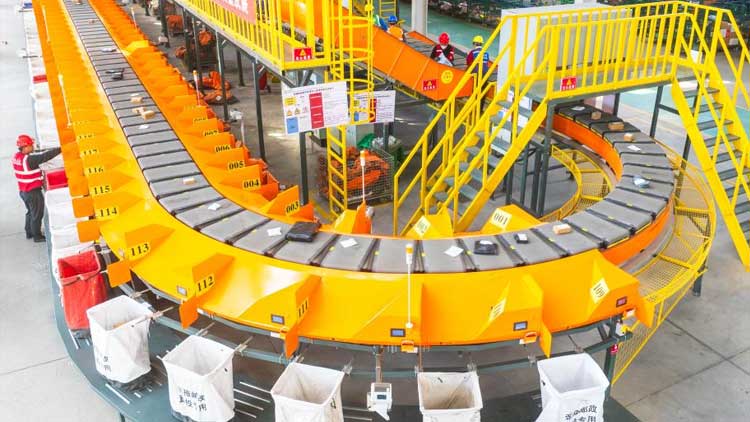 路边白果能吃吗_白果中毒症状及处理_路边这种小果子别捡别吃