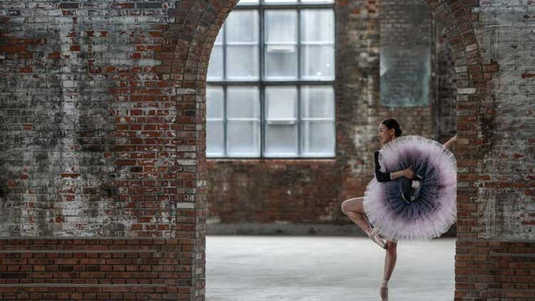 路边这种小果子别捡别吃_路边白果能吃吗_白果中毒症状及处理