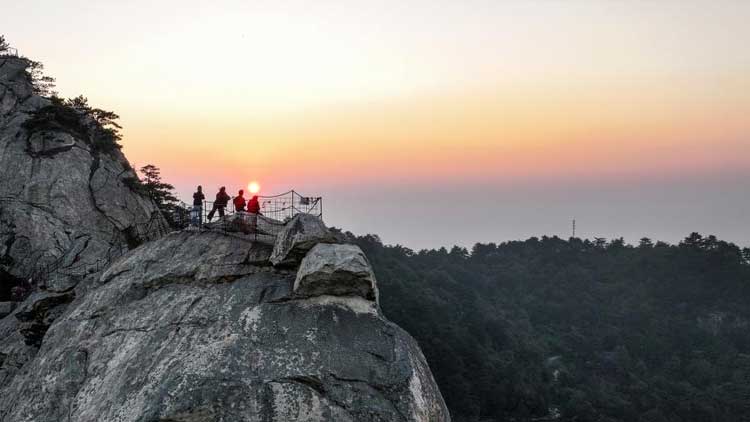 白果中毒症状及处理_路边白果能吃吗_路边这种小果子别捡别吃