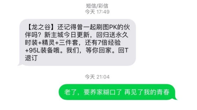 dnf游戏发展历程_dnf与龙之谷对比分析_类似地下城的网页游戏