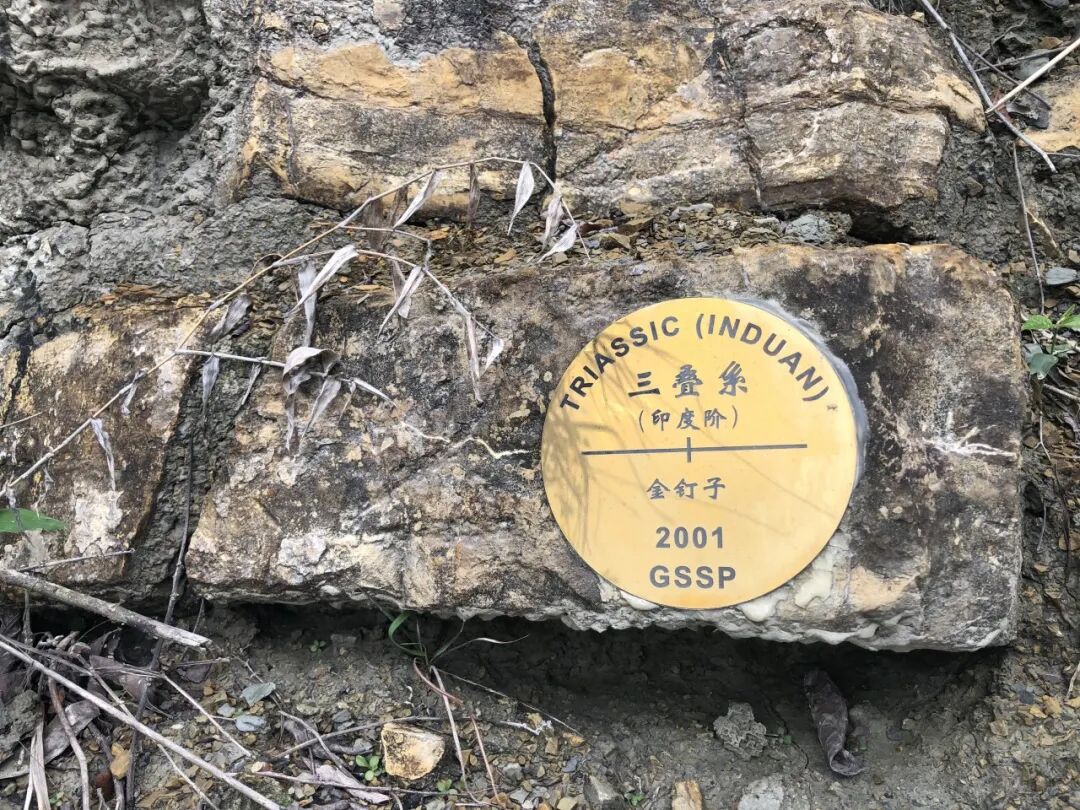 这种“金钉子” 中国已有11颗！背后有啥玄机？