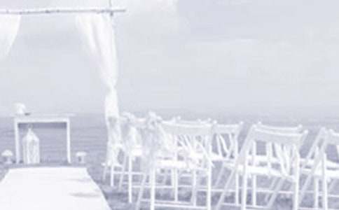 婚礼发言稿15篇