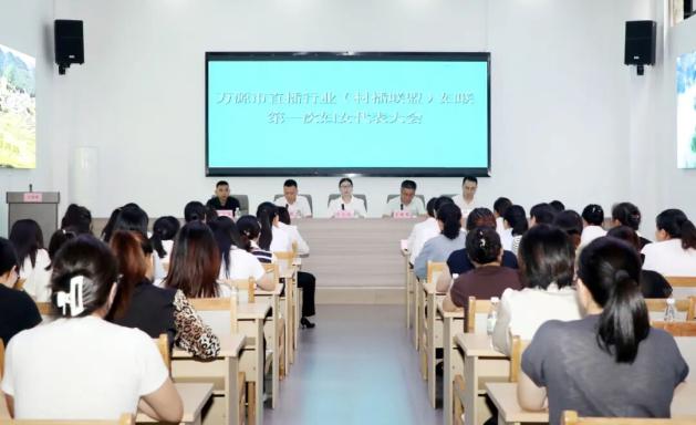 万源市直播行业妇联成立_万源市村播联盟妇联选举_万源电视台直播