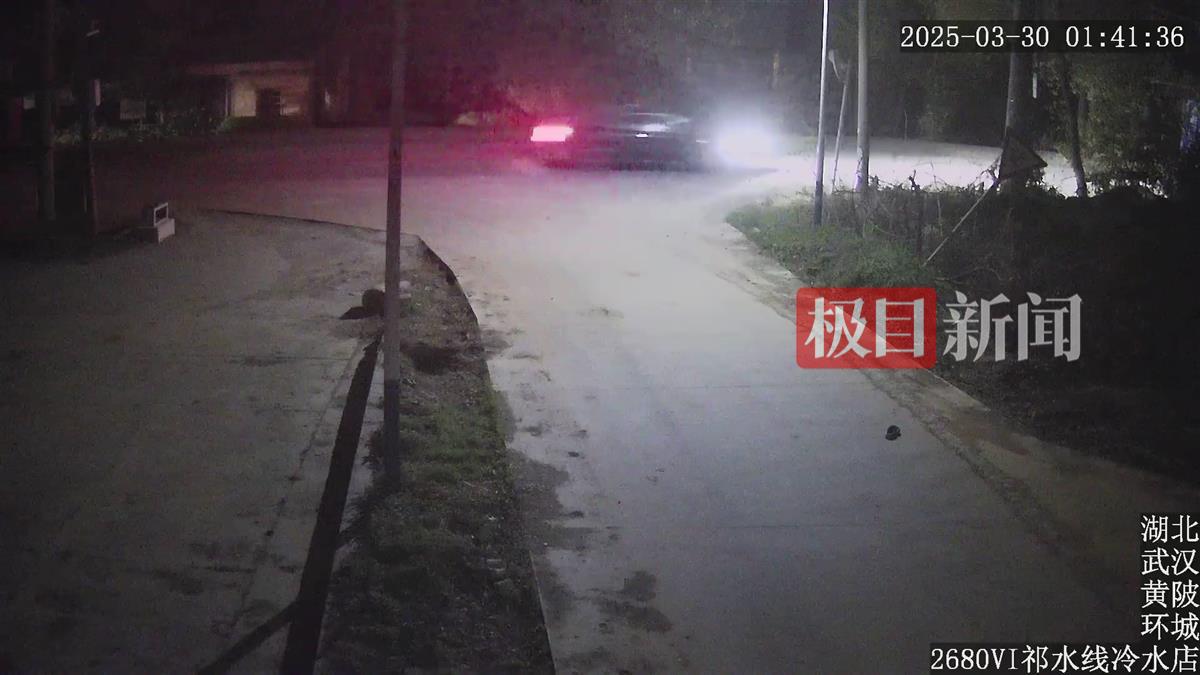 嫌疑车辆 (1).jpg