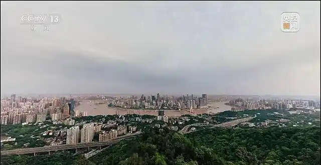 沈伯洋 台独顽固分子 分裂国家罪_“台独”沈伯洋慌了：我这情况怎么办