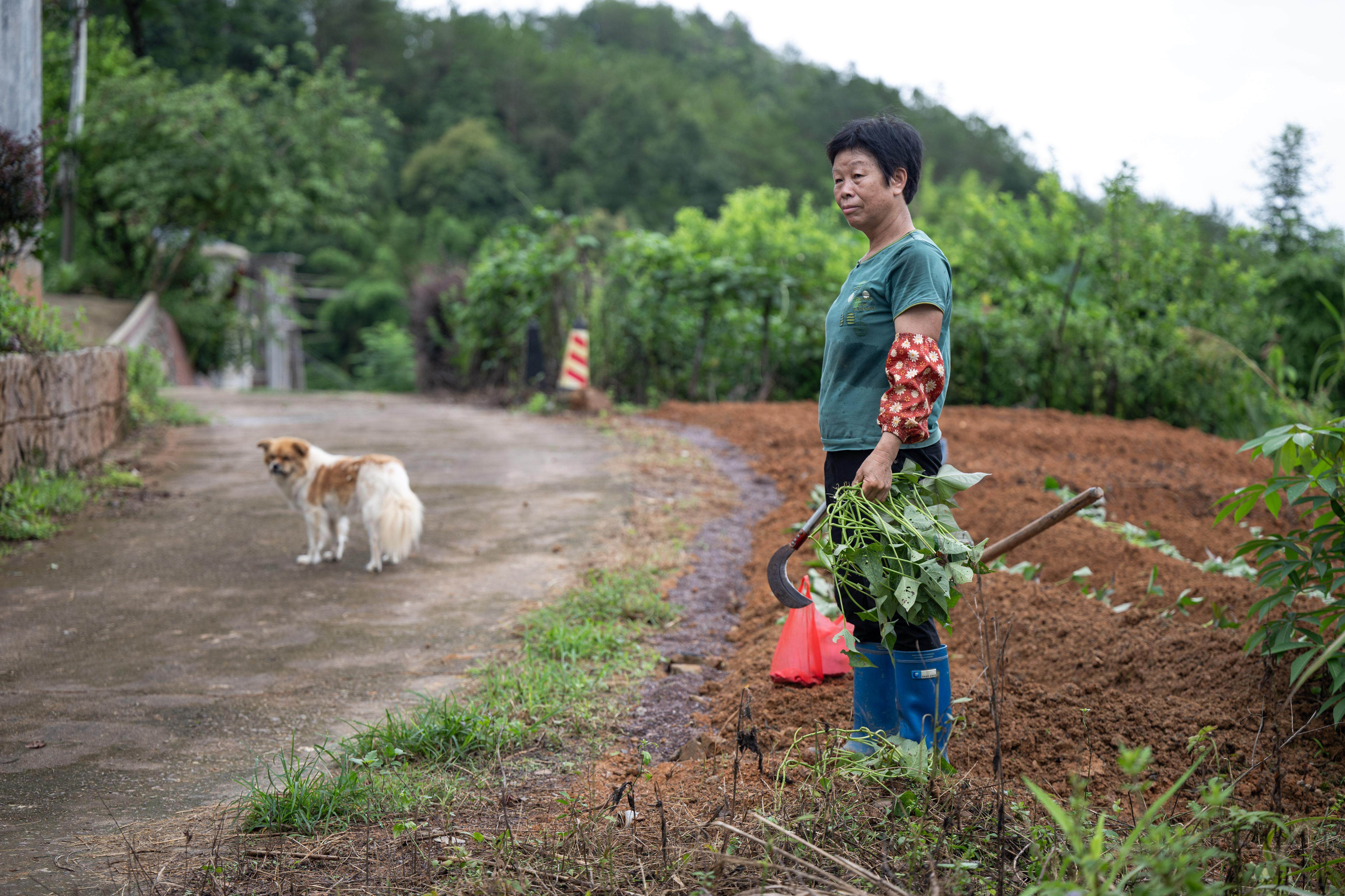 乡村医生黄小青_粤东北乡村医生事迹_最美乡村医师周月华