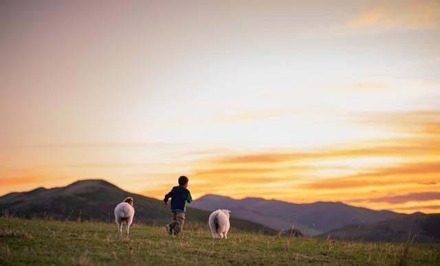 父母为你好_相亲角焦虑_父母与孩子之间的爱ppt