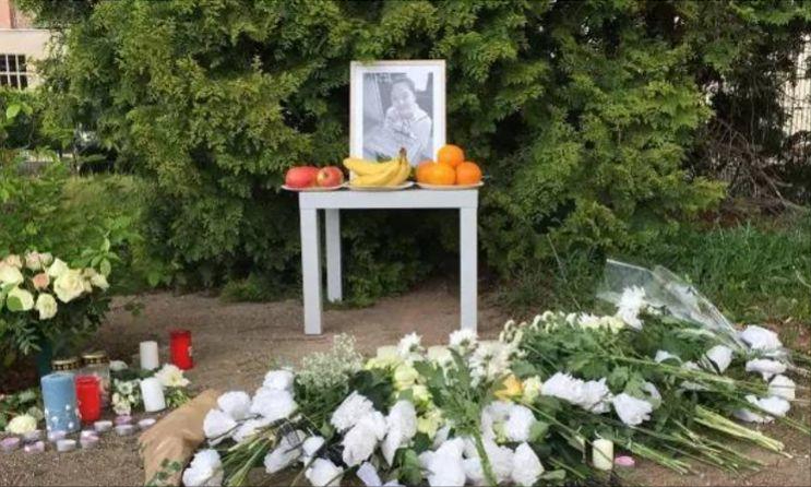 李洋洁 德国谋杀案_李洋洁案件细节_李洋洁 惨案真相