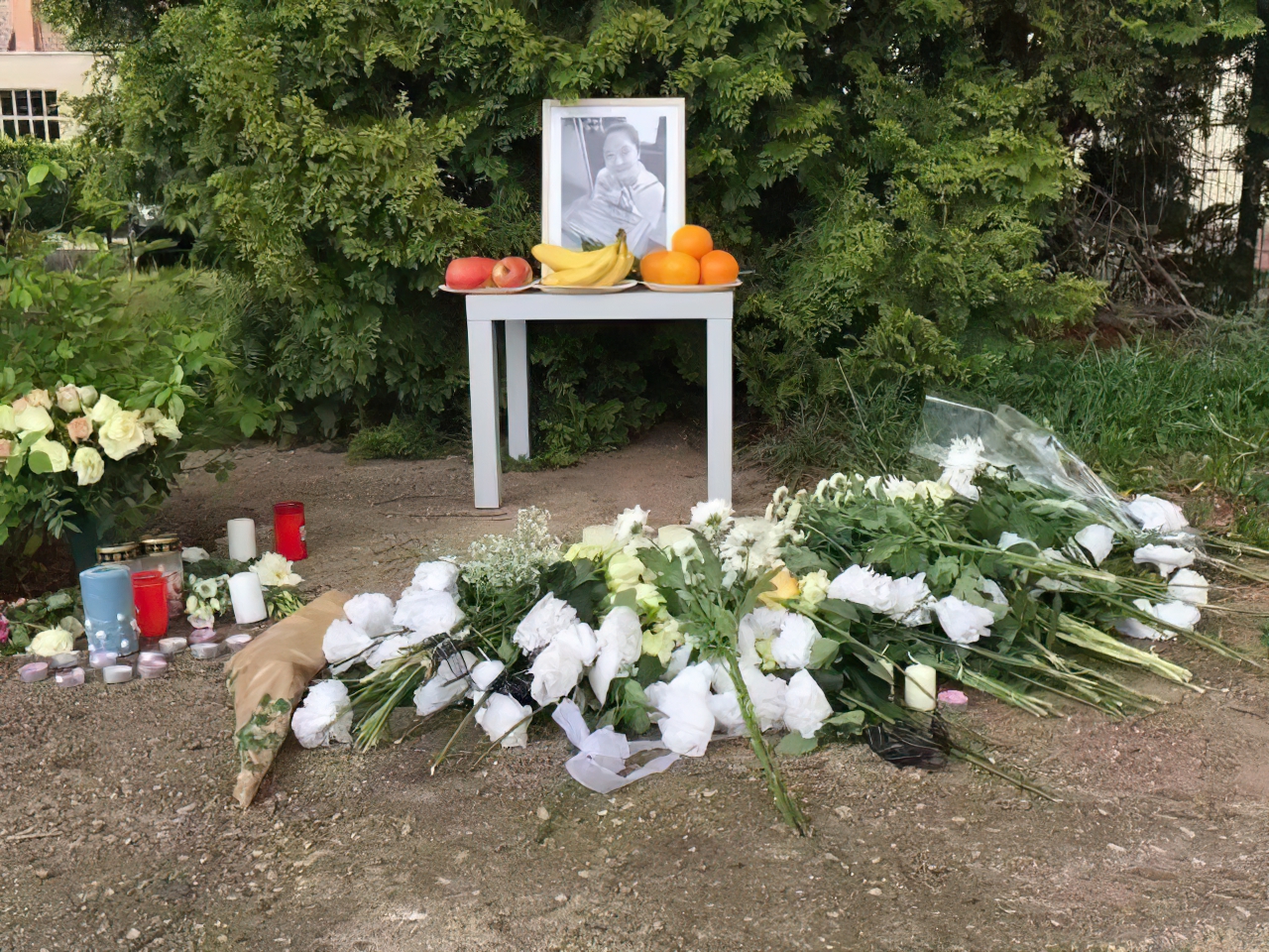 李洋洁德国谋杀案_中国女孩德国失踪案_李洋洁案件细节