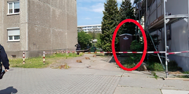 李洋洁案件细节_李洋洁德国谋杀案_中国女孩德国失踪案