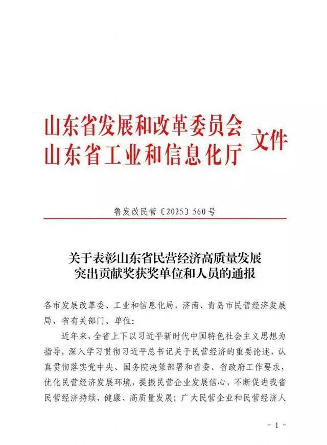 80家企业_中国民营经济_山东省民营经济高质量发展突出贡献奖