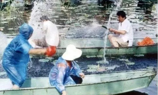 毕福剑饭局门_毕福剑旅游节主持_毕福剑近况