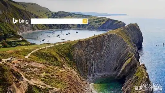 中国互联网络信息中心第43次《中国互联网络发展状况统计报告》_搜索引擎用户规模及使用率_当时搜索引擎有哪些和优势