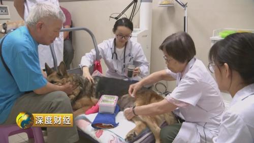 宠物消费升级趋势_萌宠经济市场规模_想收养狗狗的看这里