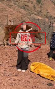 净网专项行动 网络谣言打击案例 网络水军治理案例_净网:网警斩断侵公黑色产业链