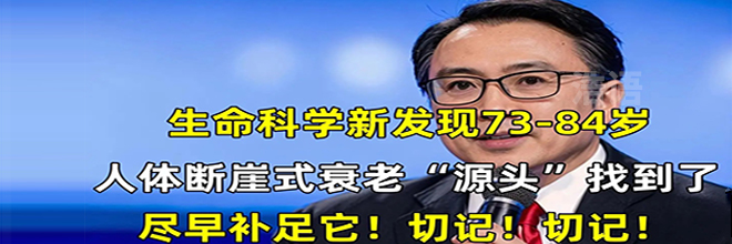 合金弹头7怎么玩_硬核战棋玩法区别_合金弹头战略版战棋游戏