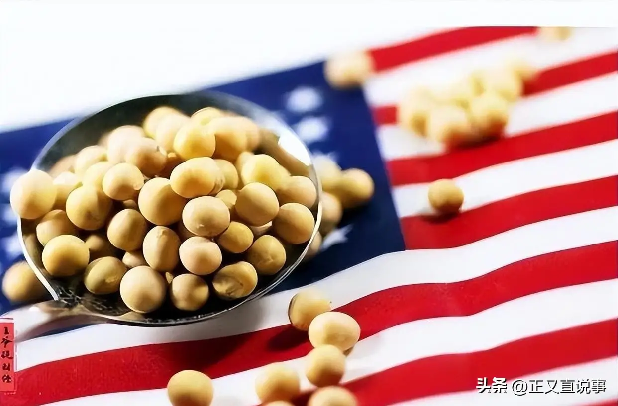 美国豆农困境 大豆出口 中国市场 关税差异_美国政府停摆 军人救济物资 特朗普对华态度转变_中方回应美财政部长贝森特错误言论