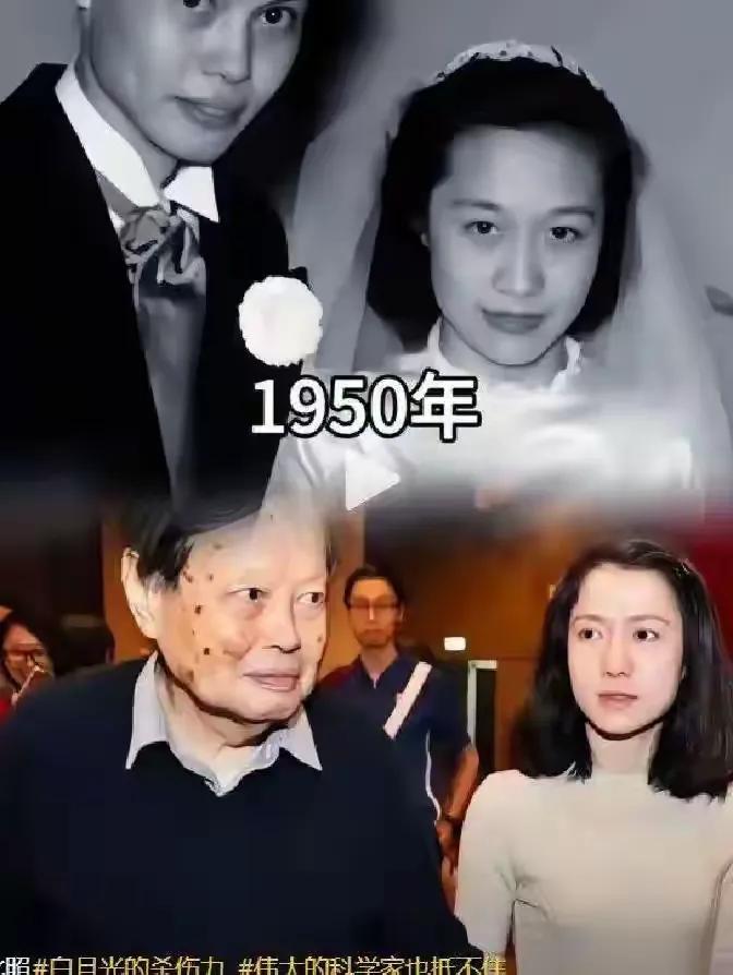 杨振宁与杜致礼的爱情故事_杨武之+杨振宁_杨振宁早年经历