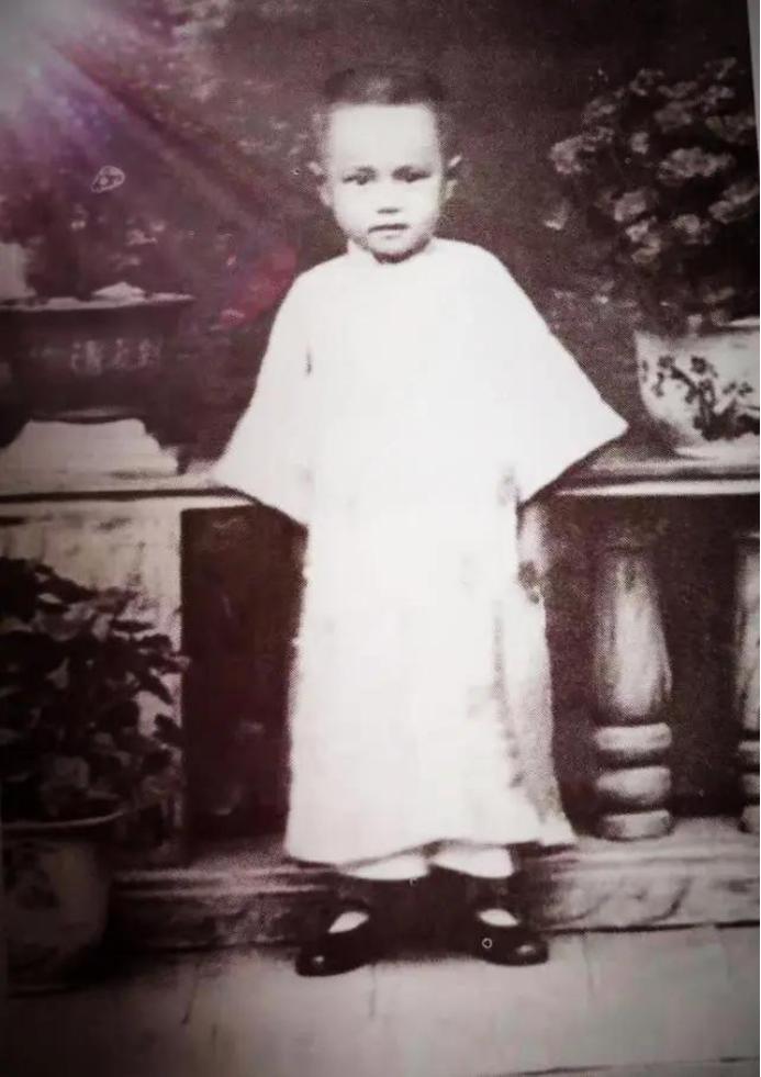 杨振宁 诺贝尔物理学奖 诺贝尔奖历史_杨武之+杨振宁