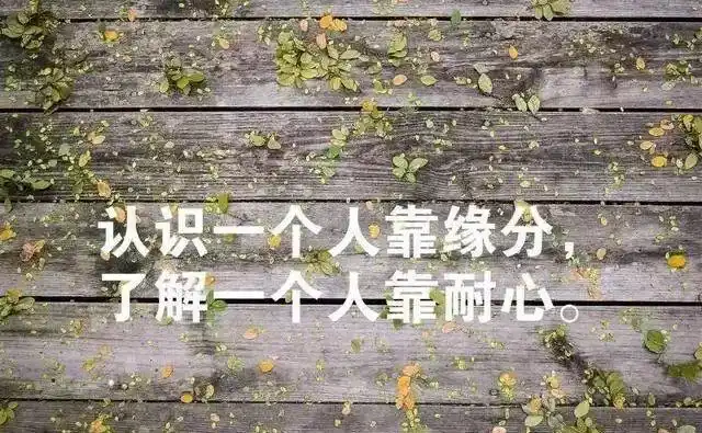 形容宴会盛大_王勃宴会秘籍解读_滕王阁序宴会有趣解读