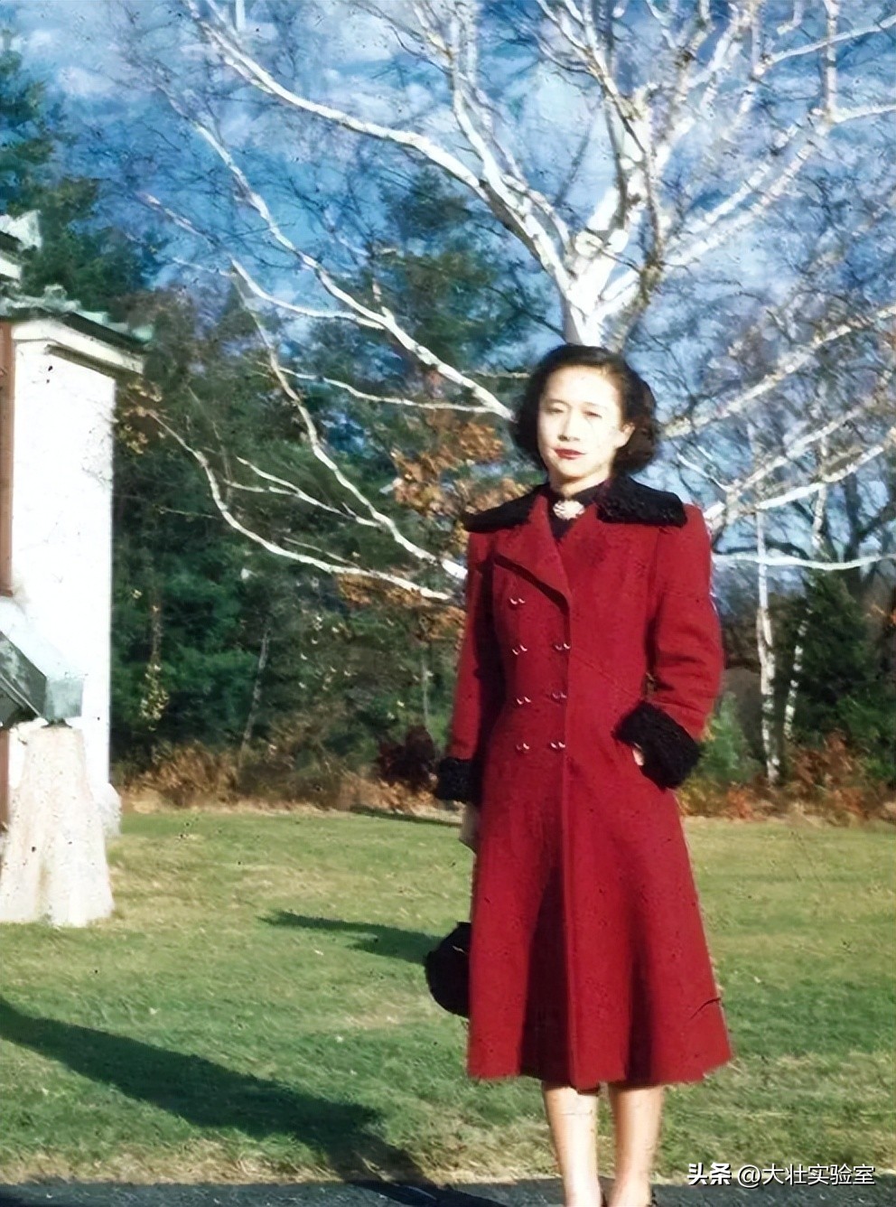 杨振宁与杜致礼的婚姻经历_杨武之+杨振宁_杨振宁与翁帆的爱情故事