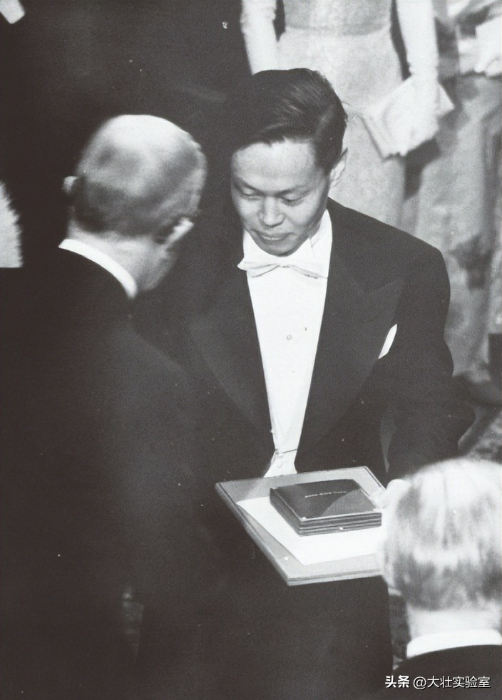 杨武之+杨振宁_杨振宁与翁帆的爱情故事_杨振宁与杜致礼的婚姻经历