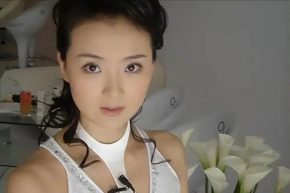 王艳老公王志才前妻_王艳 复出 演艺生涯