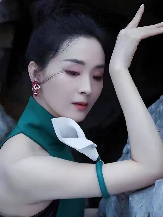 王艳老公王志才前妻_王艳豪门逆袭记_王艳受气媳妇到带货女王