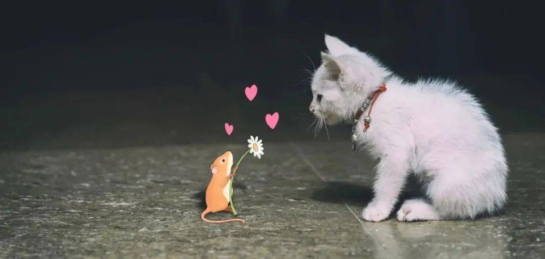 幼儿经典游戏_怀孕小游戏_幼儿园室内游戏