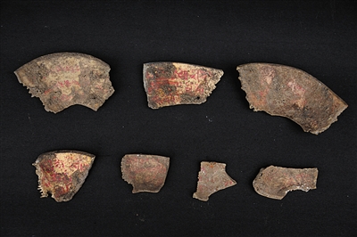 故宫南大库消防管道改造工地,考古发掘出土的嘎巴拉碗碎片。本版图片 故宫供图