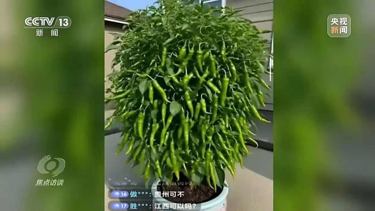 央视揭秘ai带货“李鬼”_AI仿冒带货_AI虚假宣传