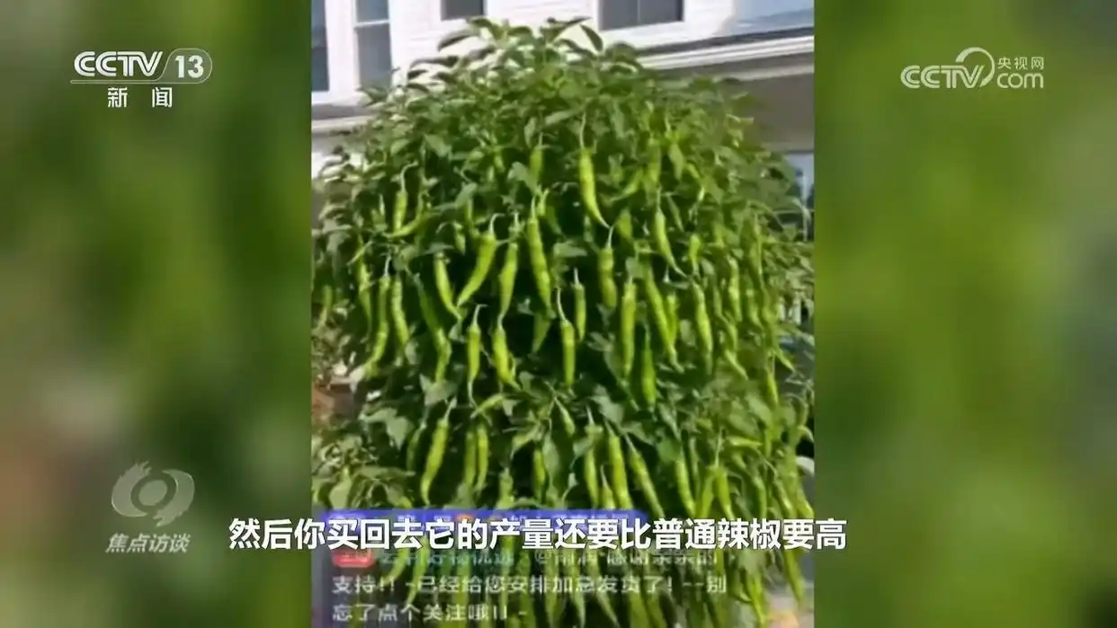 AI虚假宣传_央视揭秘ai带货“李鬼”_AI仿冒带货