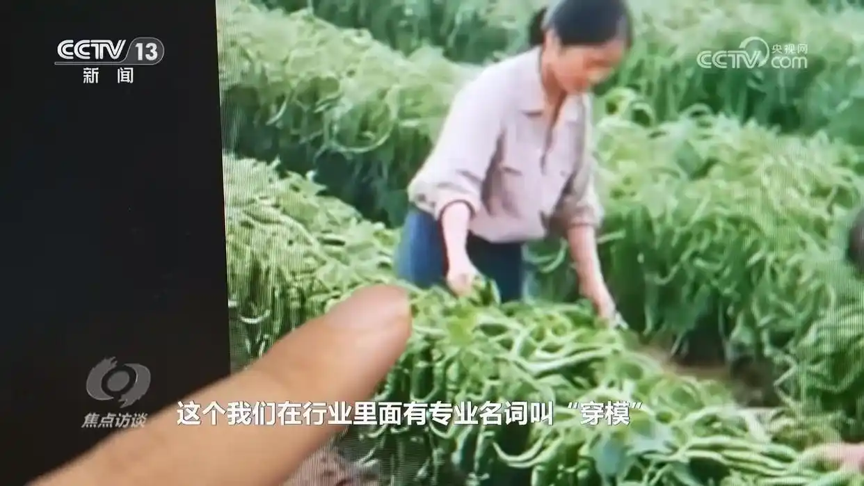 AI虚假宣传_央视揭秘ai带货“李鬼”_AI仿冒带货