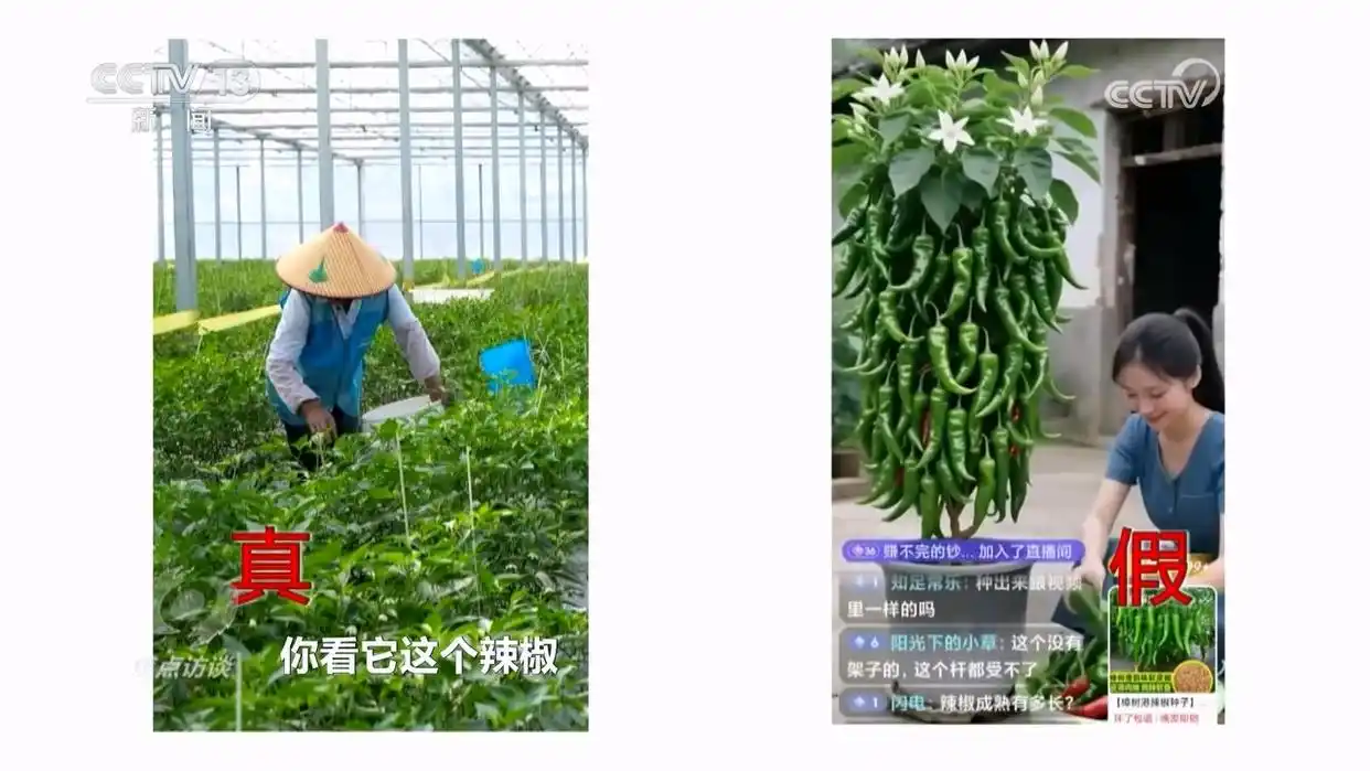 AI虚假宣传_AI仿冒带货_央视揭秘ai带货“李鬼”