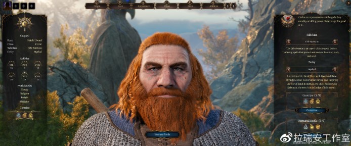 博德之门增强版+3dm_博德之门316种族6职业抢先体验_博德之门3首发种族职业选择