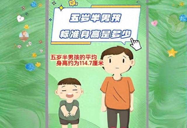 5岁半宝宝身高体重_儿童身高增长策略_生长激素分泌时间