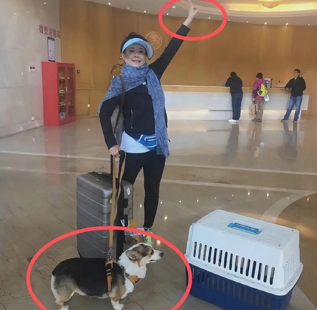 张怡宁婚姻故事_袁立情感经历_徐威为什么要娶张怡宁