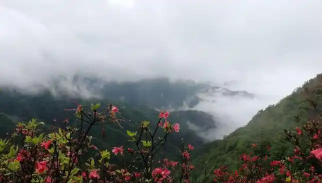 酒埠江国家地质公园景点介绍_酒埠江国家地质公园_攸县旅游推荐