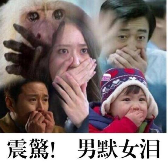 打死不关服！盘点那些超长待机的老游戏，23年前的MMO你玩过吗？