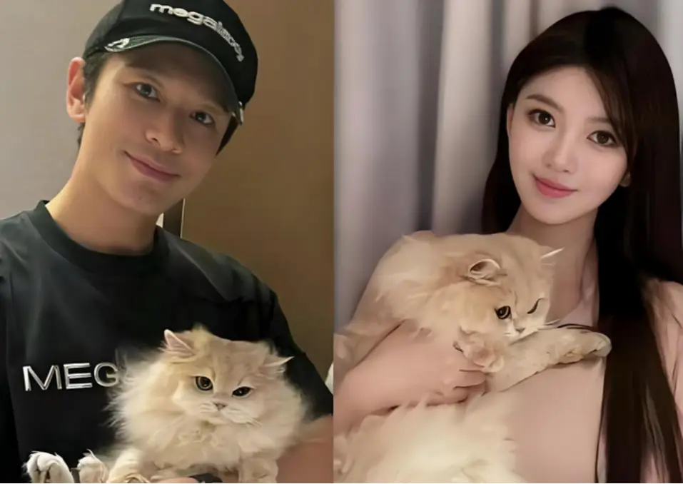 叶珂怀孕爆料_骆莉娜分手费_黄晓明叶珂官宣恋情