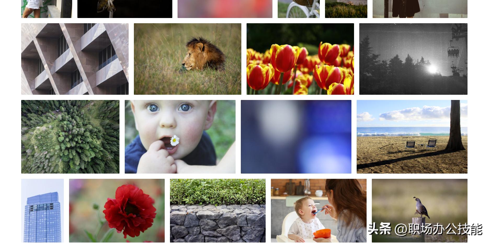 无版权图片素材网站_免费高质量图片下载_再也没有下载