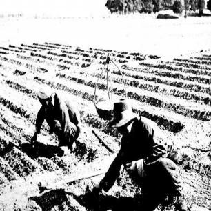 抗日战争历史照片_日本另类虐女图片_民国老照片